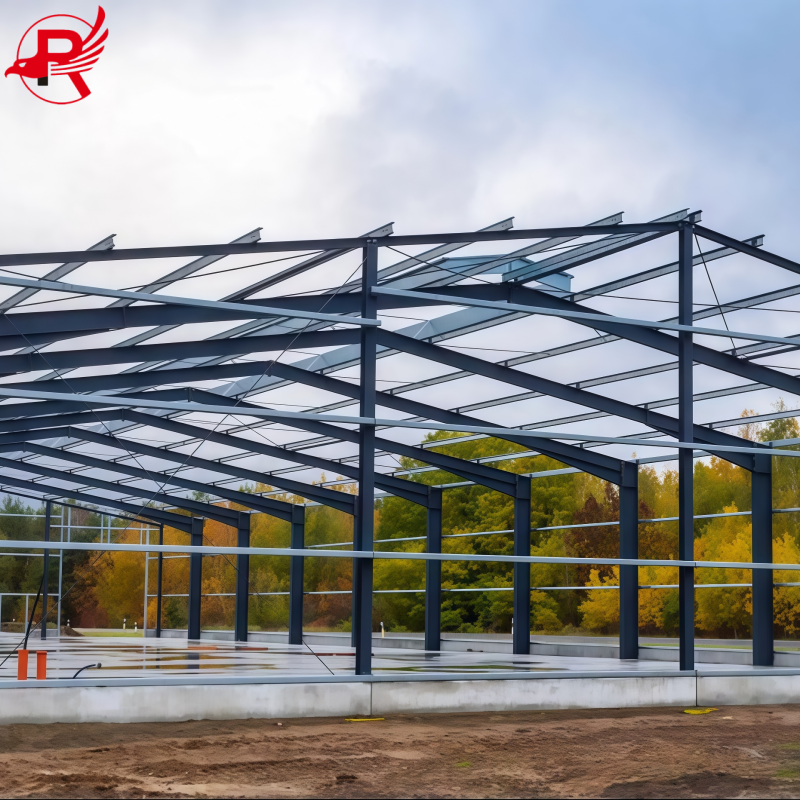 steel structure building royal steel group (32)
